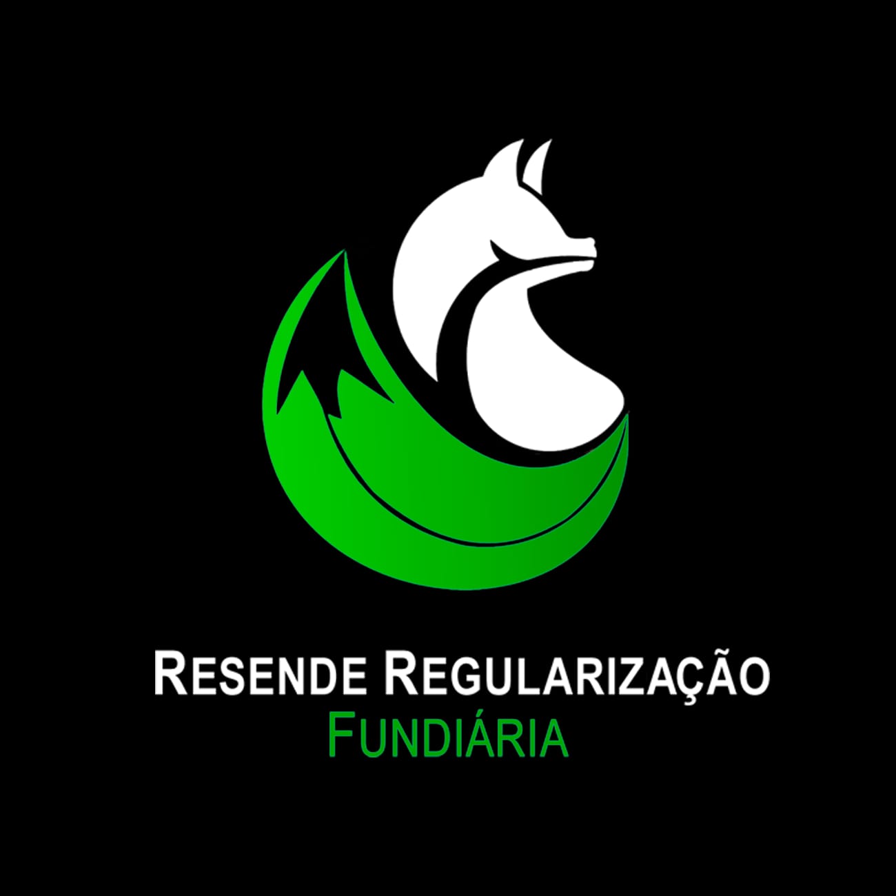 Resende Regularização